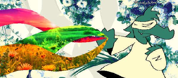 Bloom Anew
